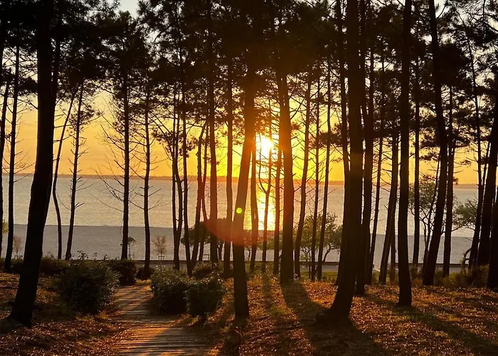 Romaline - Pereire - Piscine Chauffee